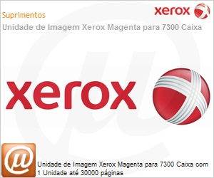 106R01138NO - Unidade de Imagem Xerox Magenta para 7300 Caixa com 1 Unidade at 30000 pginas