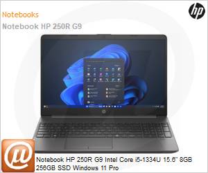 BG4W0AT - Notebook HP 250R G9 Intel Core i5-1334U 15.6" 8GB 256GB SSD Windows 11 Pro 