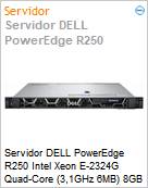 Servidor DELL PowerEdge R250 Intel Xeon E-2324G Quad-Core (3,1GHz 6MB) 8GB 2TB DVD+/-RW iDRAC9 Basic 15G  (Figura somente ilustrativa, no representa o produto real)