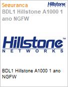 Hillstone SG-6000-A1000 1-year NGFW Subscription Service Bundle  (Figura somente ilustrativa, no representa o produto real)