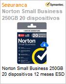 Norton Small Business 250GB 20 dispositivos 12 meses ESD  (Figura somente ilustrativa, no representa o produto real)