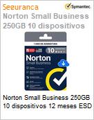 Norton Small Business 250GB 10 dispositivos 12 meses ESD (Figura somente ilustrativa, no representa o produto real)