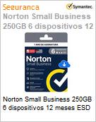 Norton Small Business 250GB 6 dispositivos 12 meses ESD (Figura somente ilustrativa, no representa o produto real)