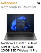 Notebook HP 250R G9 Intel Core i5-1334U 15.6 8GB 256GB SSD Windows 11 Pro  (Figura somente ilustrativa, no representa o produto real)